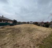 The exterior of a family house on Ladislav Novomeský Street in Hlohovec with a garden and a fence.
