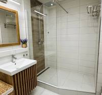 A bathroom in a 3-room apartment with a modern shower and wooden elements.