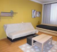 Living room in a one-room apartment with wood-patterned flooring, a yellow wall, and a sofa.