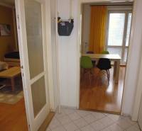 A hallway with an entrance to the dining room and living room in a one-bedroom apartment with a wooden decor floor.