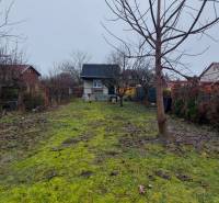 A garden with a cottage in Nové Zámky surrounded by trees and a grassy area.