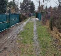 A snowy road between fences leads to a cottage in Nové Zámky.