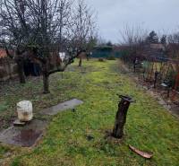 A garden by the cottage in Nové Zámky with a lawn and leafless trees under a gloomy sky.