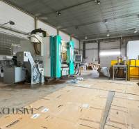 Commercial premises with industrial equipment and storage space in the Pod kalváriou area.