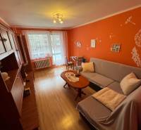 Sale One bedroom apartment, One bedroom apartment, Lanškrounská, Kežma