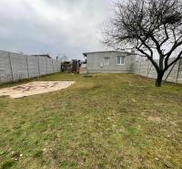 A garden by the cottage in Komárno with a lawn, a tree, and a concrete fence.