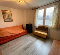 Living room in a cabin with a comfortable sofa and a wooden decor floor.
