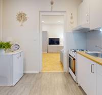 A kitchen in a studio apartment with white cabinets, wood-patterned flooring, and a plant.