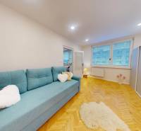 Living room in a studio apartment with a blue sofa and a wooden-patterned floor.
