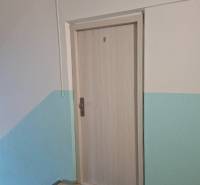 The door to the apartment on Novomeského Street in Žiar nad Hronom, with a mat in front of the entrance.