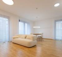 Interior of a 3-room apartment with a sofa, dining table, and wood-patterned flooring.