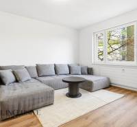 A bright living room with wood-patterned flooring, a gray sofa, and a window in a three-room apartment.