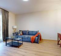 A stylish living space in a 2-room apartment with a sofa and wood-patterned flooring.