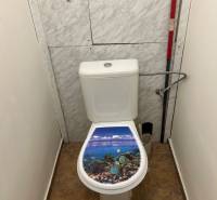 A bathroom with a marine theme and decorative floral pattern, 3-room apartment.