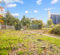 7 - 2025-11-19T104838.640.jpg