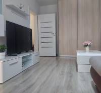 Television, coffee table with flowers, and wooden decor flooring in a 2-room apartment.