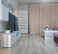 Living room of a two-room apartment with a wooden decor floor and modern furniture.