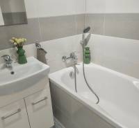 Bathroom with a shower bath, sink, and floral decoration in a 2-room apartment.