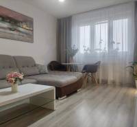 Living room with a sofa, coffee table, and wooden decor flooring in a two-room apartment.