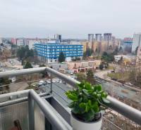 View from the balcony of a 2-room apartment on Šalviová Street, Bratislava - Ružinov, with a plant on the railing.