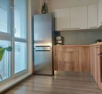 The kitchen of a 2-room apartment with a refrigerator, wooden floor decor, and a plant.