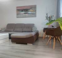 Living room in a two-room apartment with a sofa, coffee table, and wooden decor flooring.
