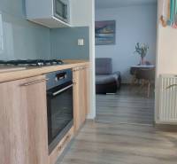Kitchen unit with a gas stove, floor with wooden decor, view into the living area in a 2-room apartment.