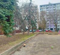 Playground with climbing frames and greenery on Šalviova Street in Bratislava - Ružinov.
