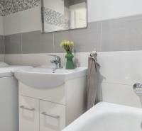 Bathroom in a 2-room apartment with a bathtub, sink, washing machine, and decorative vase.