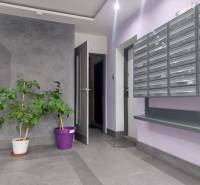 Entrance in a 2-room apartment with mailboxes, doors, and plants.