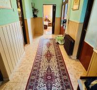 A hallway in a family house with a colorful carpet and wooden decor on the walls.