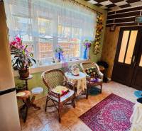 A family house with wicker furniture, a carpet, and lots of flowers in the interior.