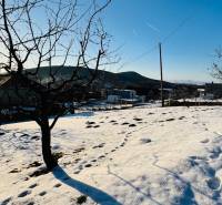 A snowy garden with fruit trees by a family house in Horna Ves.