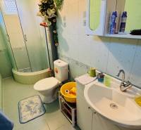 Bathroom in a family house with a toilet, shower, and sink with containers.
