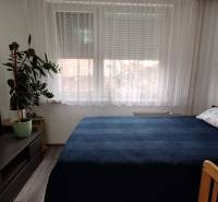 A bedroom in a 3-room apartment with a bed, a television, a plant, and a chair.