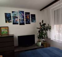 A bedroom in a 3-room apartment with a plant, television, and pictures on the wall.