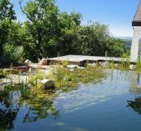 A pond and a terrace at a family house in Hainburg an der Donau, surrounded by greenery.
