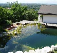 A family house in Hainburg an der Donau with a natural pool by the terrace surrounded by greenery.