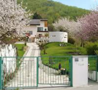 A family house in Hainburg an der Donau surrounded by blooming trees and greenery.