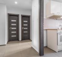 Interior of a 3-room apartment with two dark doors and a kitchenette.