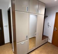 Hallway in a 2-room apartment with a built-in wardrobe, mirror, and floor with a wooden decor.