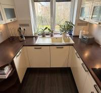 A kitchen in a 2-room apartment with a dark countertop, plants, and a wooden decor floor.