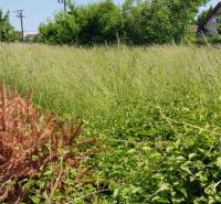 Sale Land – for living, Land – for living, Trnavská, Senec, Slovakia