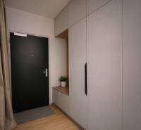 Entrance hallway with dark doors and built-in wardrobes in a studio apartment.
