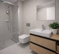 Bathroom with a sink, shower, and storage space in a studio apartment.