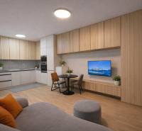 Living room with a kitchenette, wooden decor flooring, sofa, and dining table.