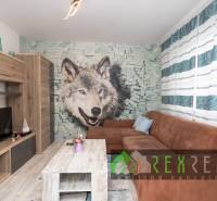 A living room with wolf wallpaper, a wooden decor floor, and a comfortable sofa in a three-room apartment.