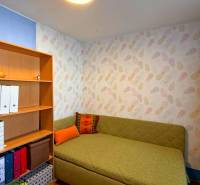 Room in a 3-room apartment with colored walls, a couch, and shelves with books.