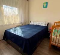 Bedroom in a 3-room apartment with a double bed, a baby crib, and a floor with a wooden decor.