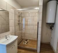 A bathroom in a family house with a modern shower and a wooden decor floor.